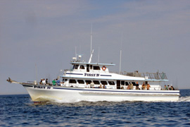 Things To Do South Jersey Marina Party Boats